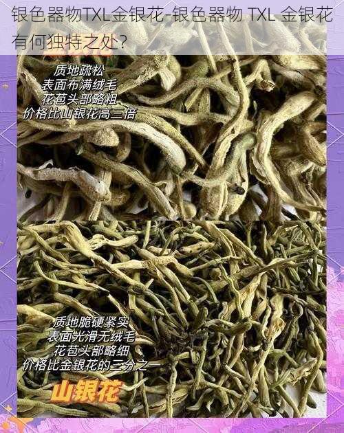 银色器物TXL金银花-银色器物 TXL 金银花有何独特之处？