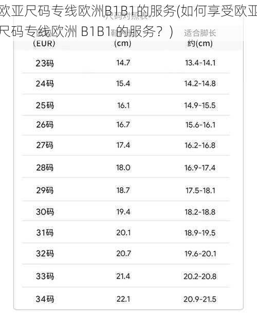 欧亚尺码专线欧洲B1B1的服务(如何享受欧亚尺码专线欧洲 B1B1 的服务？)