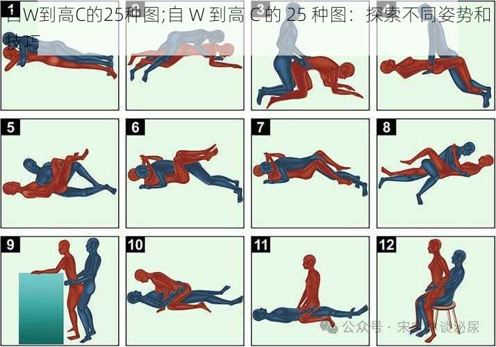 自W到高C的25种图;自 W 到高 C 的 25 种图：探索不同姿势和技巧