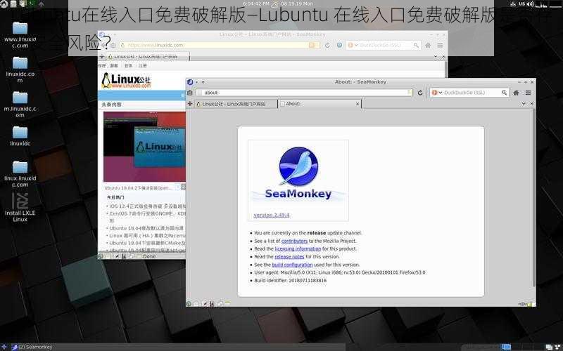 Lubuntu在线入口免费破解版—Lubuntu 在线入口免费破解版是否存在安全风险？