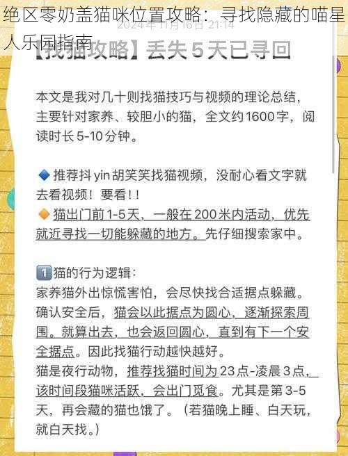 绝区零奶盖猫咪位置攻略：寻找隐藏的喵星人乐园指南