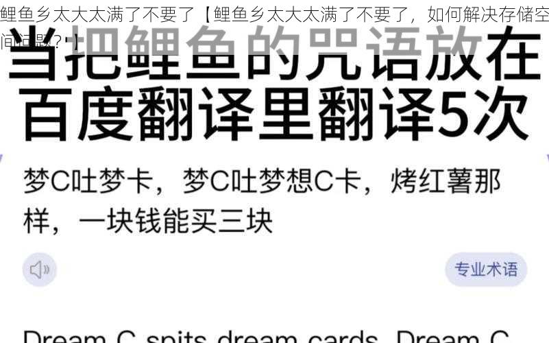 鲤鱼乡太大太满了不要了【鲤鱼乡太大太满了不要了，如何解决存储空间问题？】