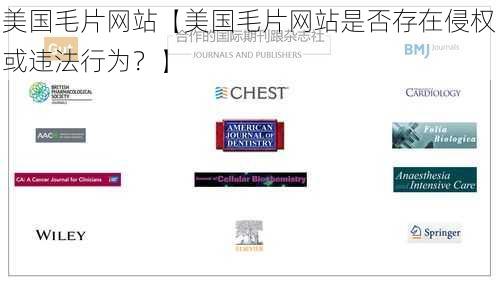 美国毛片网站【美国毛片网站是否存在侵权或违法行为？】