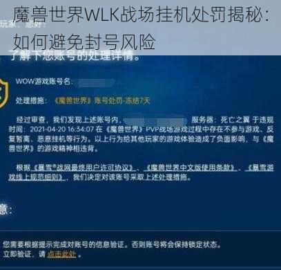 魔兽世界WLK战场挂机处罚揭秘：如何避免封号风险