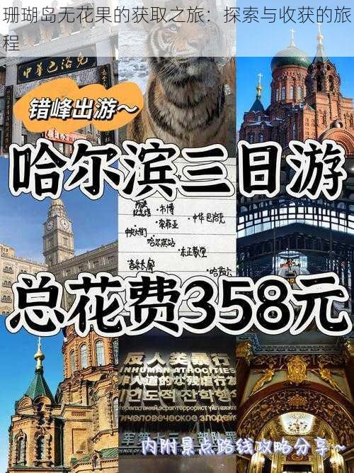 珊瑚岛无花果的获取之旅：探索与收获的旅程