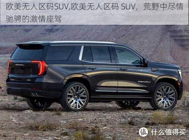 欧美无人区码SUV,欧美无人区码 SUV，荒野中尽情驰骋的激情座驾