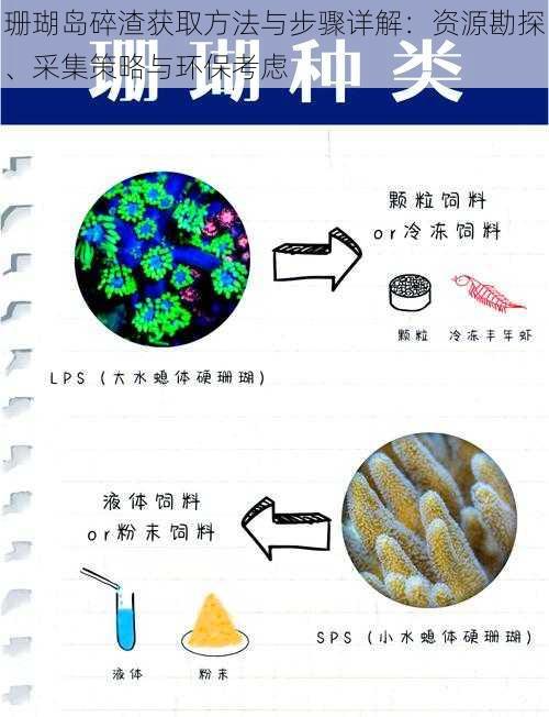 珊瑚岛碎渣获取方法与步骤详解：资源勘探、采集策略与环保考虑