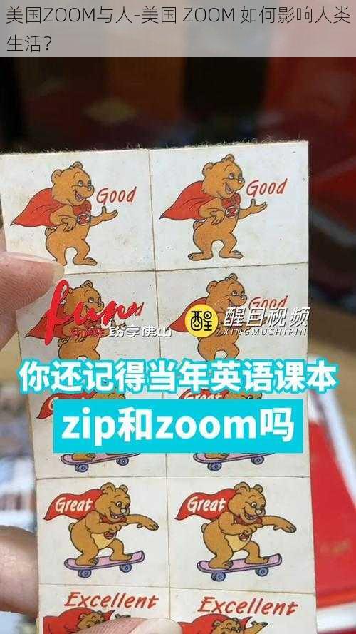 美国ZOOM与人-美国 ZOOM 如何影响人类生活？