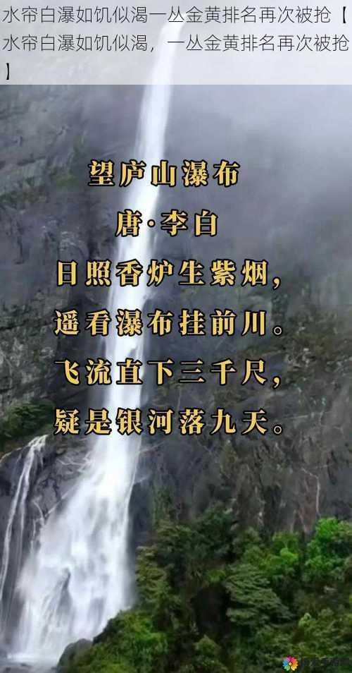 水帘白瀑如饥似渴一丛金黄排名再次被抢【水帘白瀑如饥似渴，一丛金黄排名再次被抢】