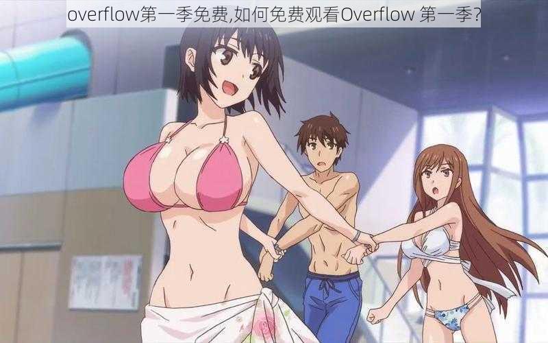 overflow第一季免费,如何免费观看Overflow 第一季？