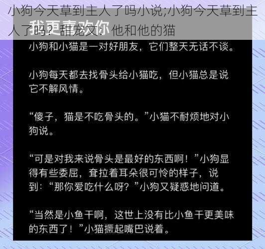 小狗今天草到主人了吗小说;小狗今天草到主人了吗？甜宠文：他和他的猫