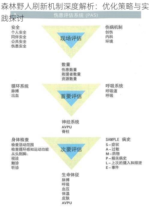 森林野人刷新机制深度解析：优化策略与实践探讨