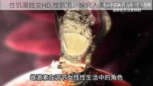 性饥渴姓交HD,性饥渴：探究人类性行为的奥秘