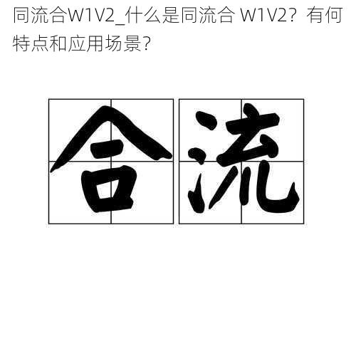 同流合W1V2_什么是同流合 W1V2？有何特点和应用场景？