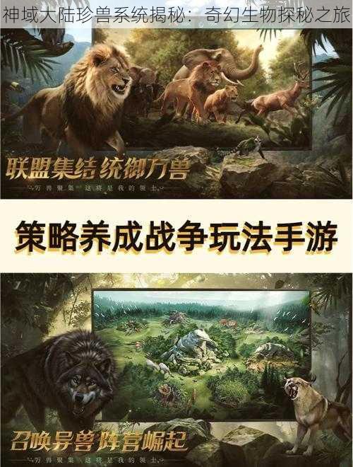 神域大陆珍兽系统揭秘：奇幻生物探秘之旅