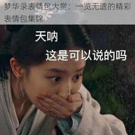 梦华录表情包大赏：一览无遗的精彩表情包集锦