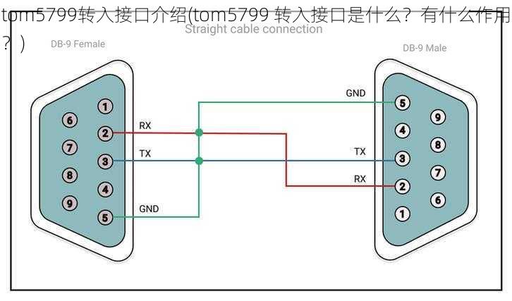 tom5799转入接口介绍(tom5799 转入接口是什么？有什么作用？)