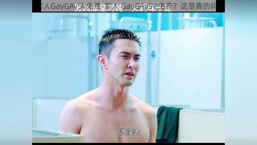 军人GayGAySV免费-军人 GayGAySV 免费？这是真的吗？