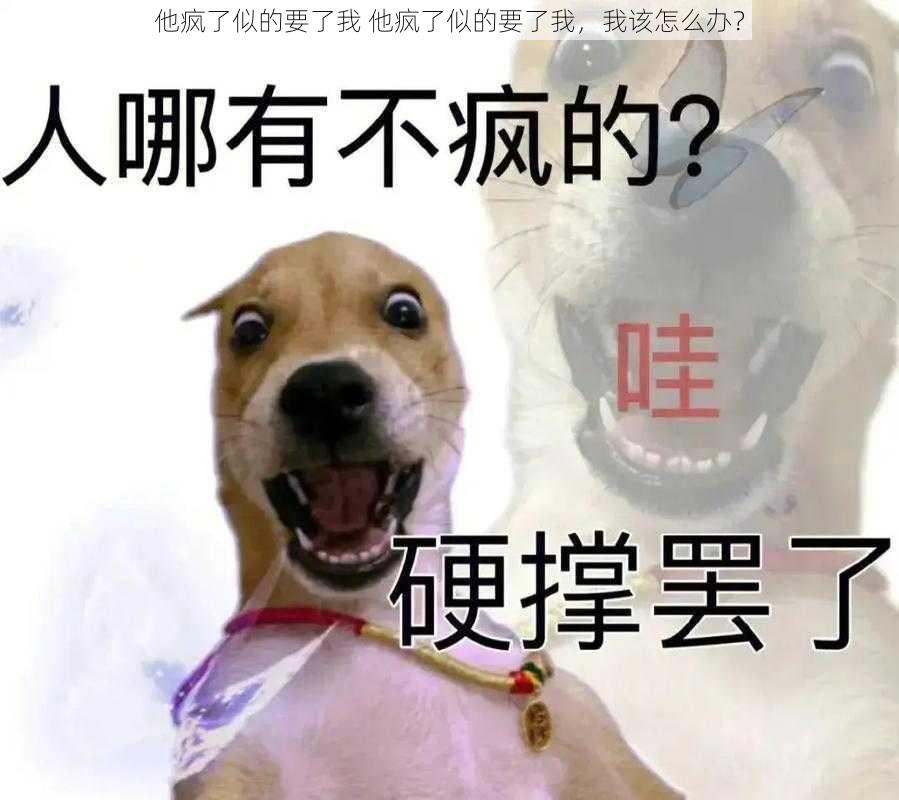 他疯了似的要了我 他疯了似的要了我，我该怎么办？