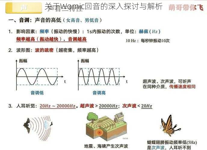 关于Womic回音的深入探讨与解析