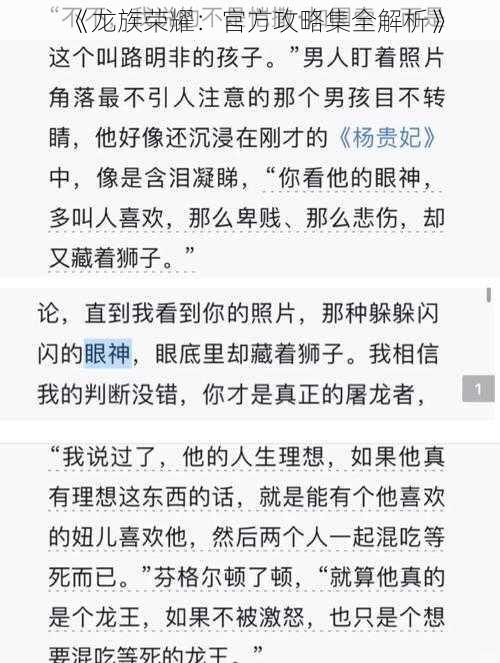 《龙族荣耀：官方攻略集全解析》