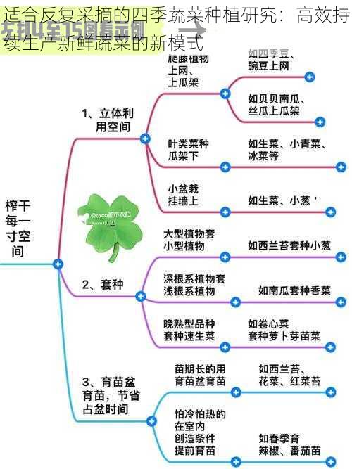 适合反复采摘的四季蔬菜种植研究：高效持续生产新鲜蔬菜的新模式