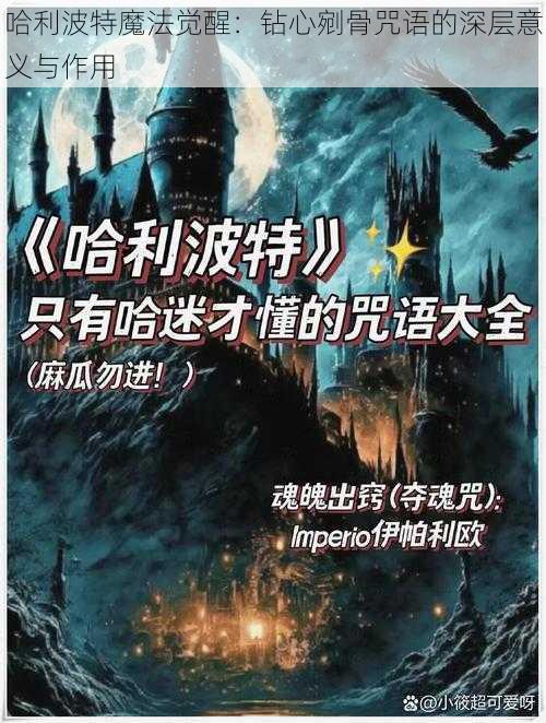 哈利波特魔法觉醒：钻心剜骨咒语的深层意义与作用