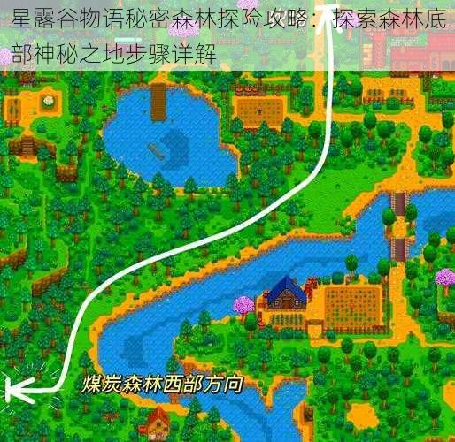 星露谷物语秘密森林探险攻略：探索森林底部神秘之地步骤详解