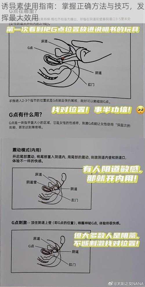 诱导素使用指南：掌握正确方法与技巧，发挥最大效用