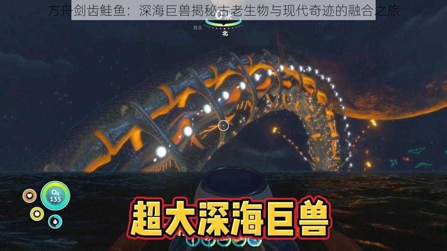 方舟剑齿鲑鱼：深海巨兽揭秘古老生物与现代奇迹的融合之旅