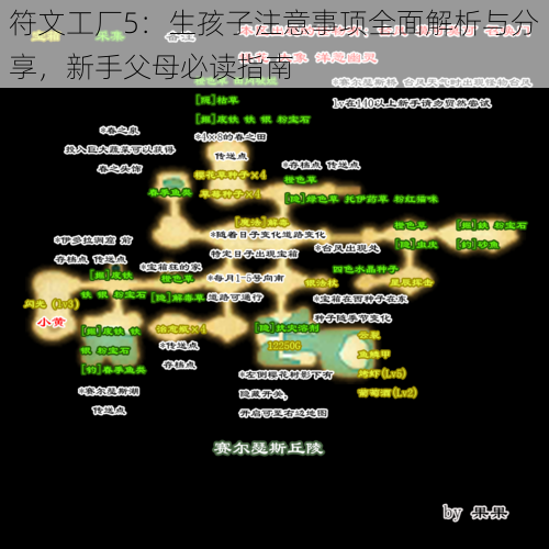 符文工厂5：生孩子注意事项全面解析与分享，新手父母必读指南