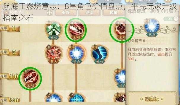 航海王燃烧意志：8星角色价值盘点，平民玩家升级指南必看